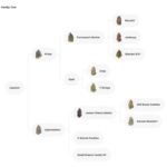 Lipstain cannabis strain by Maven Ge