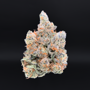 Orange Bellini cannabis strain with purple buds and citrus terpene profile available at Exotic Blooms Washington DC weed delivery