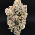 Orange Bellini cannabis strain with purple buds and citrus terpene profile available at Exotic Blooms Washington DC weed delivery