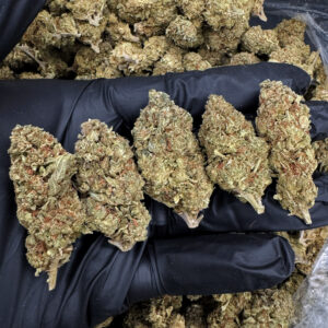 Original Z strain indica-leaning hybrid 21-25% THC weed delivery Washington DC Virginia Maryland Richmond VA