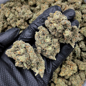 Platinum Jack sativa strain 28–30% THC available for weed delivery in Washington DC Virginia Maryland Richmond VA