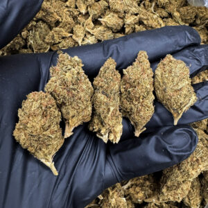 SFV OG strain sativa-leaning hybrid 24-26% THC weed delivery Washington DC Virginia Maryland Richmond VA