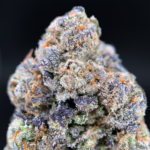 Smashberry Fumez indica dominant cannabis strain with purple frosty buds available at Exotic Blooms Washington DC weed delivery