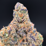 Warhead sativa dominant cannabis strain with citrus terpene profile available at Exotic Blooms Washington DC weed delivery