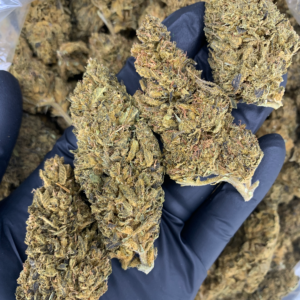 OG Kush Flash OZ Deal older cannabis flower available through Exotic Blooms Washington DC weed delivery