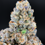 Fruit Roll Upz by G3 Cultivators super rare cannabis strain available through Exotic Blooms Washington DC weed delivery