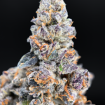 Fruit Roll Upz by G3 Cultivators super rare cannabis strain available through Exotic Blooms Washington DC weed delivery