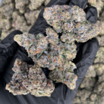 Goofiez by G3 Cultivators super rare cannabis strain available through Exotic Blooms Washington DC weed delivery
