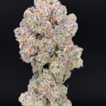 Hashburger by G3 Cultivators super rare garlic gas cannabis strain available through Exotic Blooms Washington DC weed delivery