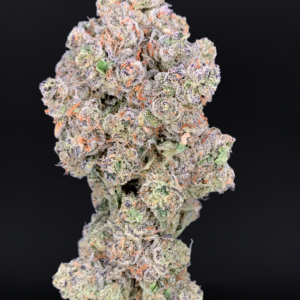 Hashburger by G3 Cultivators super rare garlic gas cannabis strain available through Exotic Blooms Washington DC weed delivery