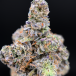 Hashburger by G3 Cultivators super rare garlic gas cannabis strain available through Exotic Blooms Washington DC weed delivery