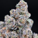 Hashburger by G3 Cultivators super rare garlic gas cannabis strain available through Exotic Blooms Washington DC weed delivery