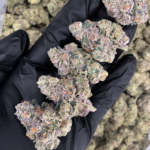 Heir Headz by Maven Cannabis Farm with loud gassy terpene profile available at Exotic Blooms Washington DC weed delivery