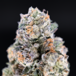 Heir Headz by Maven Cannabis Farm with loud gassy terpene profile available at Exotic Blooms Washington DC weed delivery