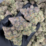 LA Pineapples by G3 Cultivators super rare cannabis strain available through Exotic Blooms Washington DC cannabis delivery