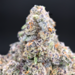 LA Pineapples by G3 Cultivators super rare cannabis strain available through Exotic Blooms Washington DC cannabis delivery