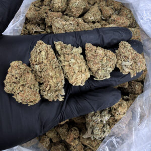 MAC1 Hybrid 20–23% THC cannabis flower for Washington DC, Virginia, Maryland, and Richmond VA weed delivery
