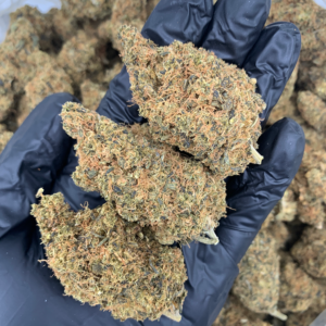 Motormouth Flash OZ Deal older indoor cannabis flower available through Exotic Blooms Washington DC weed delivery