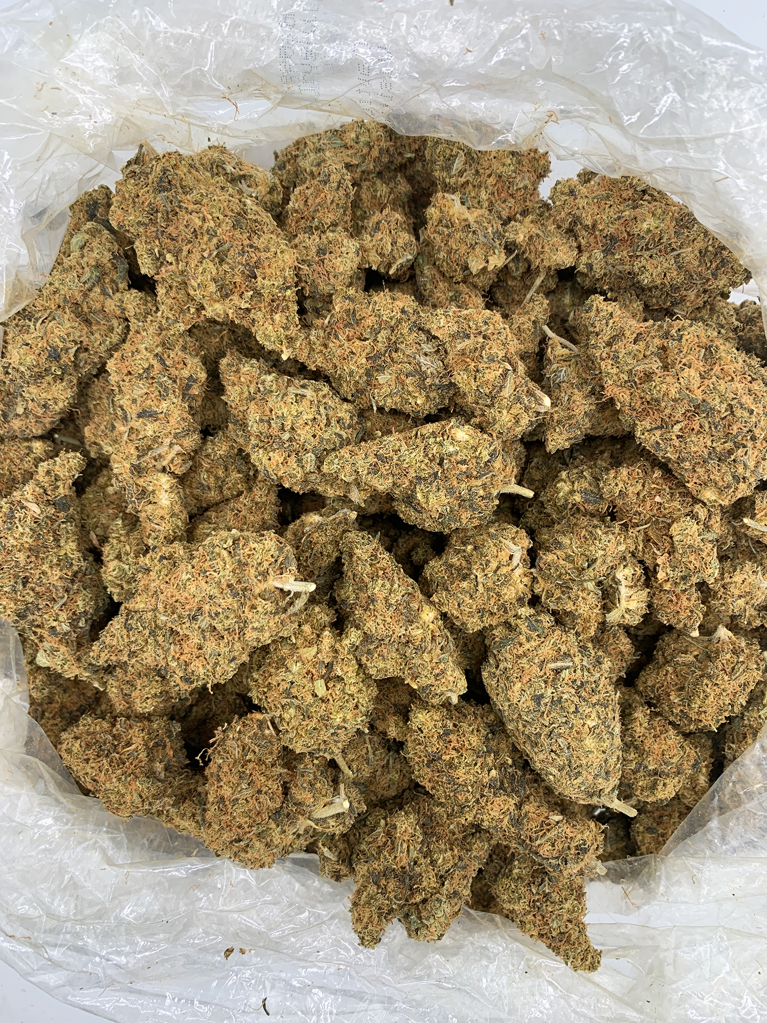 Motormouth Flash OZ Deal older indoor cannabis flower available through Exotic Blooms Washington DC weed delivery