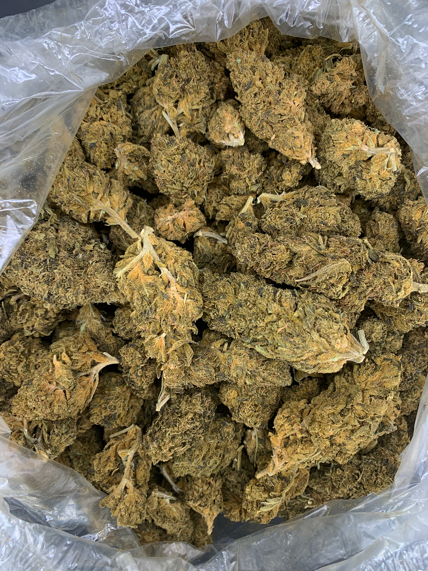 OG Kush Flash OZ Deal older cannabis flower available through Exotic Blooms Washington DC weed delivery