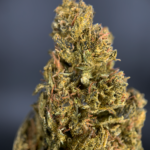OG Kush Flash OZ Deal older cannabis flower available through Exotic Blooms Washington DC weed delivery