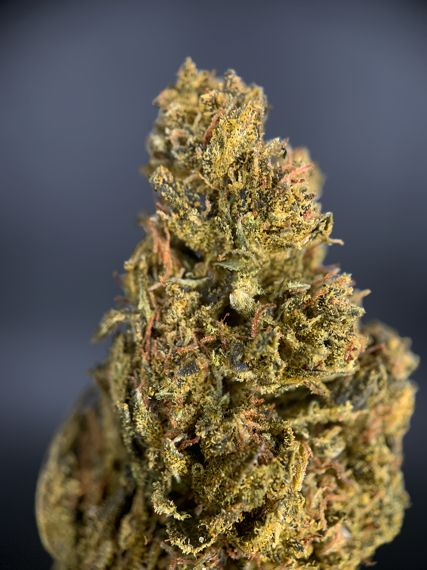 OG Kush Flash OZ Deal older cannabis flower available through Exotic Blooms Washington DC weed delivery