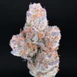 Singapore Sling by Tiki Madman rare cannabis strain available at Exotic Blooms Washington DC weed delivery