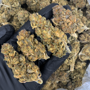 White Runtz Flash OZ Deal balanced hybrid cannabis flower available through Exotic Blooms Washington DC weed delivery