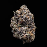 Gello Shotz hybrid cannabis flower with 29-31% THC available through Washington DC, Virginia, Maryland, and Richmond VA weed delivery