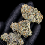 Bath Saltz by G3 Cultivators Super Rare balanced hybrid cannabis flower featuring creamy candy, vanilla, citrus, and 30 to 32 percent THC at Exotic Blooms Washington DC