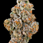Bath Saltz by G3 Cultivators Super Rare balanced hybrid cannabis flower featuring creamy candy, vanilla, citrus, and 30 to 32 percent THC at Exotic Blooms Washington DC