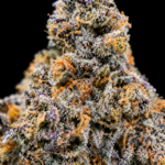 Bath Saltz by G3 Cultivators Super Rare balanced hybrid cannabis flower featuring creamy candy, vanilla, citrus, and 30 to 32 percent THC at Exotic Blooms Washington DC