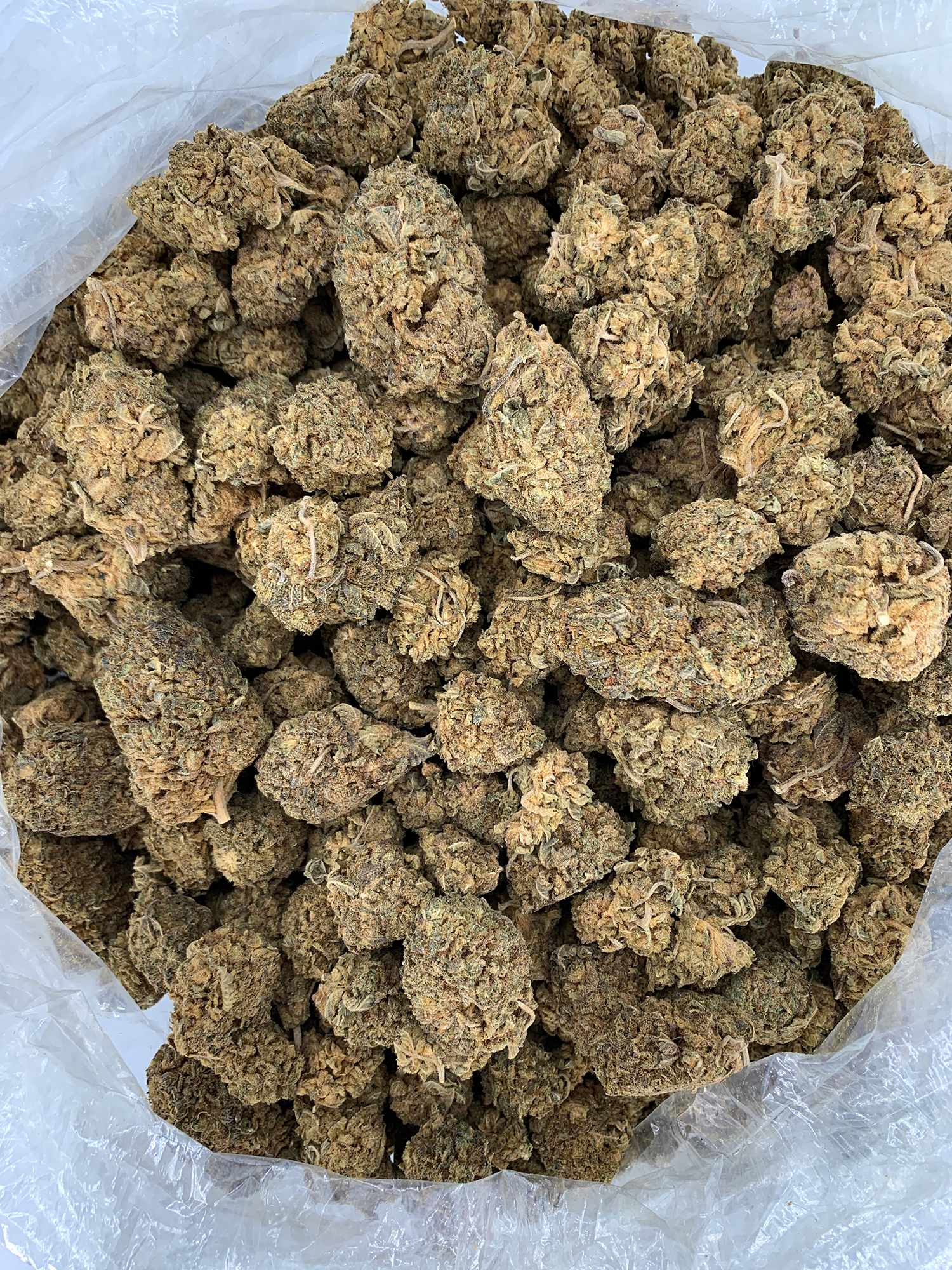 Black Diamond Flash Deal indoor cannabis flower by Exotic Blooms featuring budget-friendly indica-dominant flower properly stored for over one year, available for Washington DC cannabis delivery.