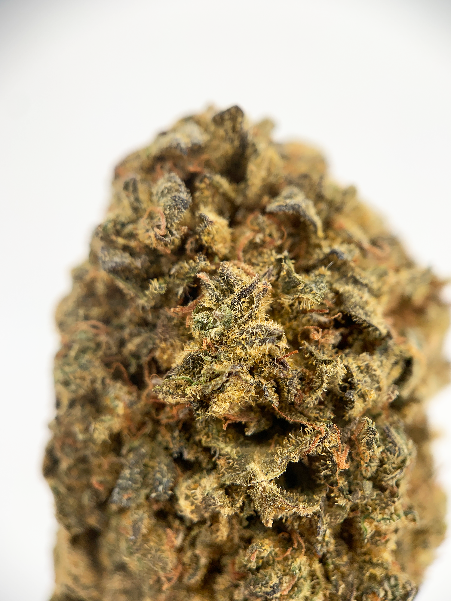 Black Diamond Flash Deal indoor cannabis flower by Exotic Blooms featuring budget-friendly indica-dominant flower properly stored for over one year, available for Washington DC cannabis delivery.
