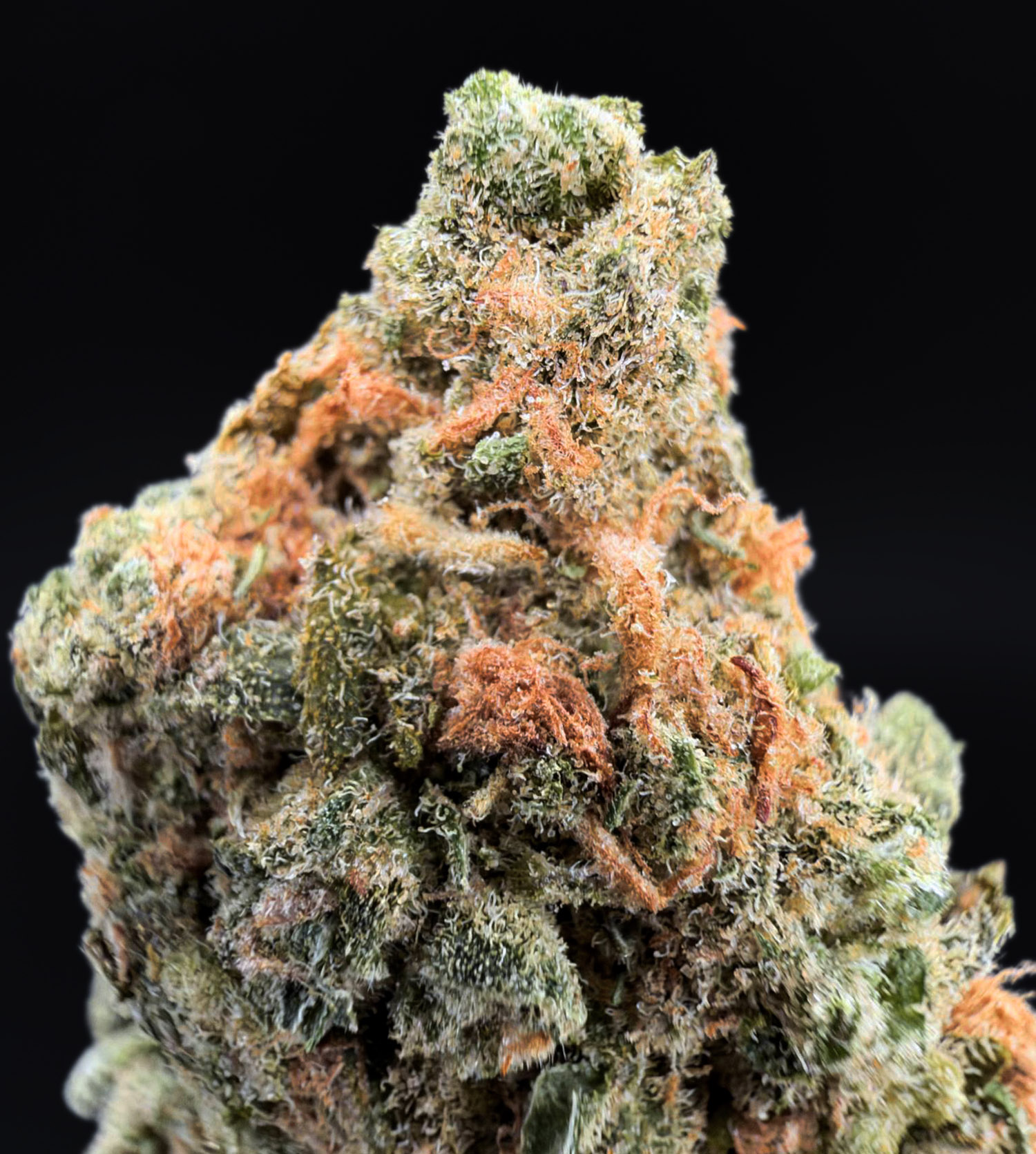 Blue Dream hybrid cannabis strain, 28–31% THC, sweet blueberry and Haze flavor, Exotic Blooms weed delivery in Washington DC, Virginia, Maryland, and Richmond VA