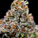 Formula 1 by G3 Cultivators Super Rare cannabis flower featuring gasoline, sweet pie, citrus, and 34 percent plus THC at Exotic Blooms Washington DC