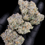 Formula 1 by G3 Cultivators Super Rare cannabis flower featuring gasoline, sweet pie, citrus, and 34 percent plus THC at Exotic Blooms Washington DC
