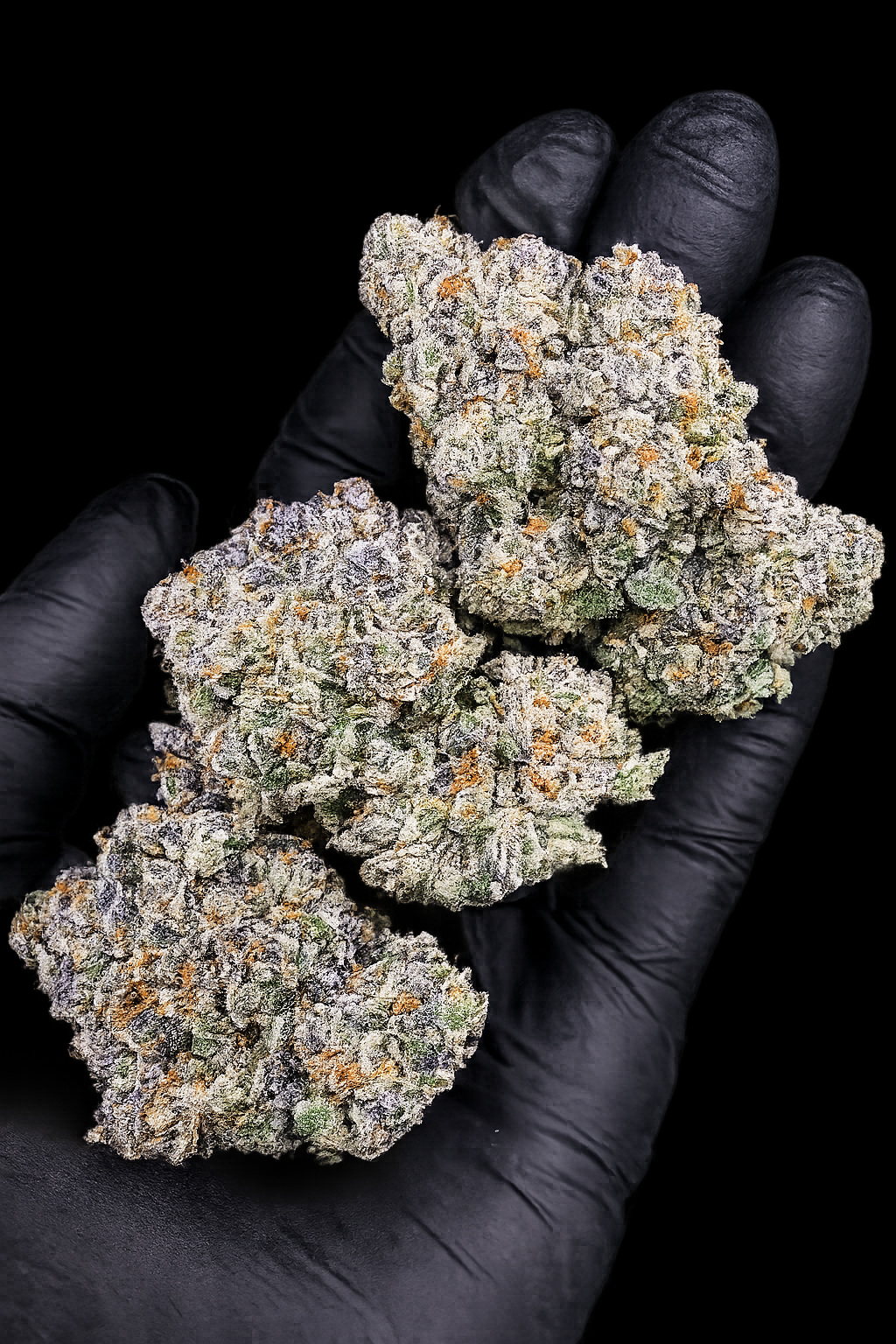Formula 1 by G3 Cultivators Super Rare cannabis flower featuring gasoline, sweet pie, citrus, and 34 percent plus THC at Exotic Blooms Washington DC