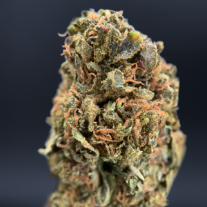 Gascotti Flash OZ Deal indoor cannabis flower by Exotic Blooms featuring Biscotti genetics and value-priced flower available for Washington DC cannabis delivery.