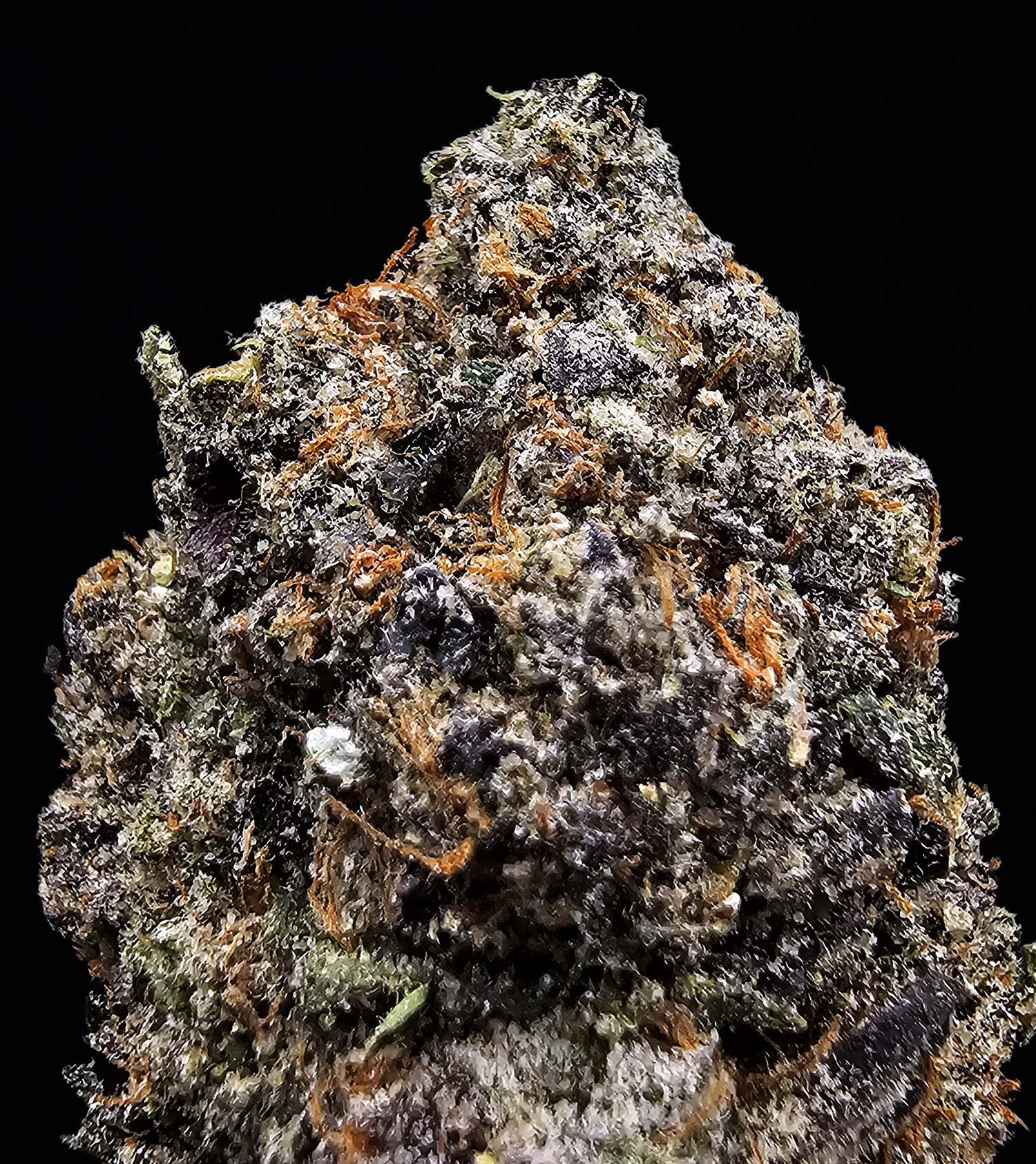 Gello Shotz hybrid cannabis flower with 29-31% THC available through Washington DC, Virginia, Maryland, and Richmond VA weed delivery