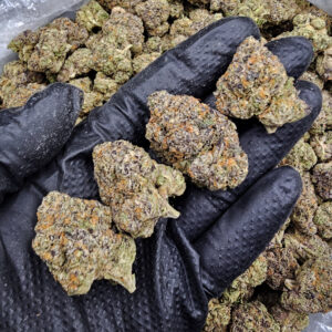 Gello Shotz hybrid cannabis flower with 29-31% THC available through Washington DC, Virginia, Maryland, and Richmond VA weed delivery