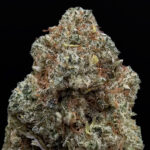 GG4 hybrid cannabis flower 30-33% THC available from Exotic Blooms in Washington DC Virginia Maryland and Richmond VA