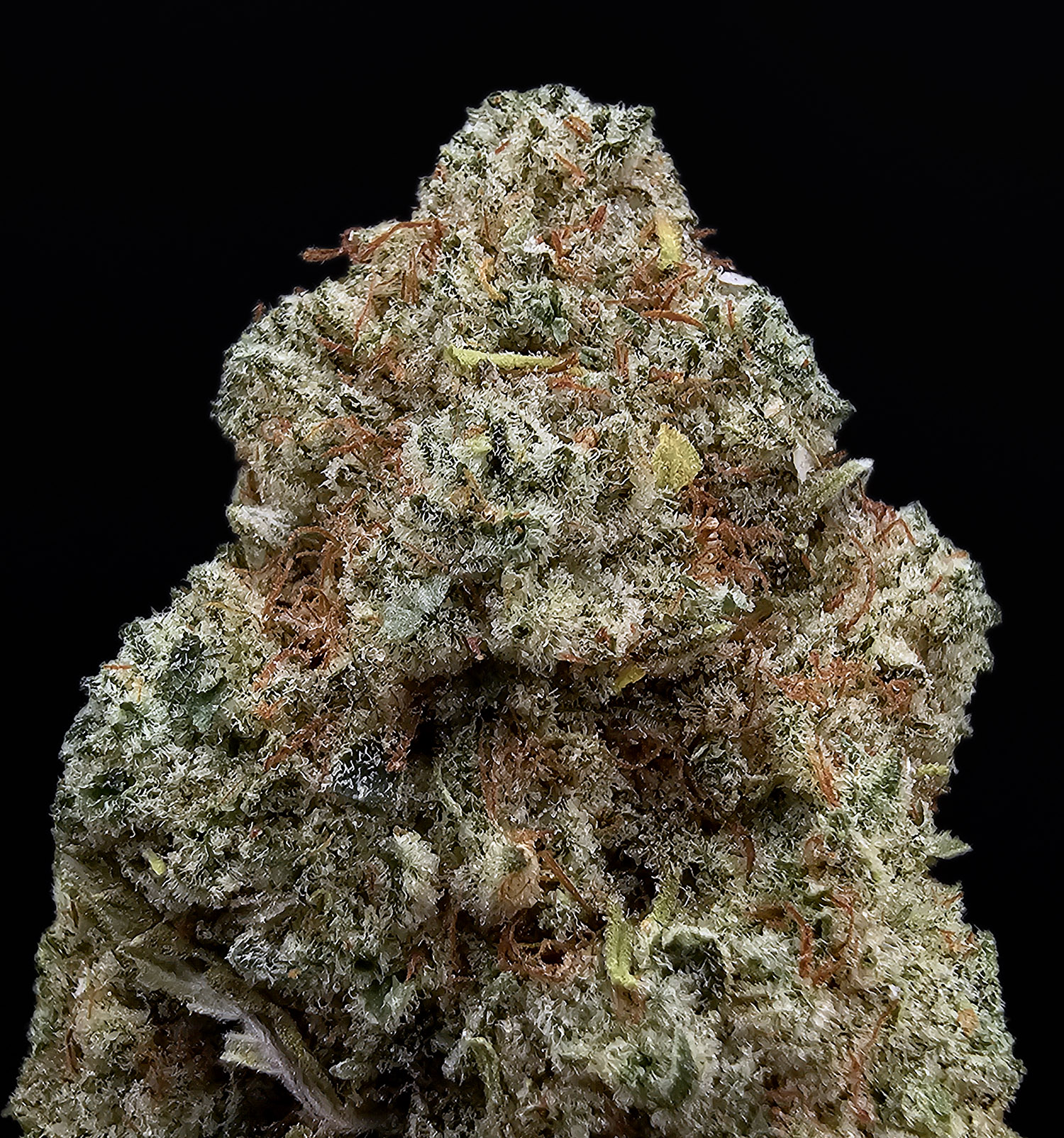 GG4 hybrid cannabis flower 30-33% THC available from Exotic Blooms in Washington DC Virginia Maryland and Richmond VA