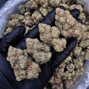 GG4 hybrid cannabis flower 30-33% THC available from Exotic Blooms in Washington DC Virginia Maryland and Richmond VA