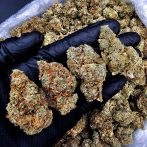 High Octane OG indica-dominant hybrid cannabis flower 28-31% THC available in Washington DC Virginia Maryland and Richmond VA