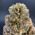 Ice Cream Cake Flash OZ Deal indoor cannabis flower featuring Wedding Cake and Gelato 33 genetics from Exotic Blooms Washington DC.