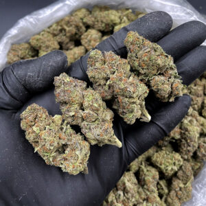 Ice Cream Haze sativa-dominant hybrid 25-28% THC Exotic Blooms weed delivery Washington DC Virginia Maryland Richmond VA