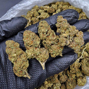 Ice Cream Haze hybrid cannabis flower 28% THC available from Exotic Blooms in Washington DC Virginia Maryland and Richmond VA