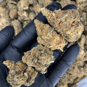 Jack Cake Flash OZ Deal indoor cannabis flower featuring Jack Herer × Wedding Cake genetics available for Washington DC cannabis delivery through Exotic Blooms.