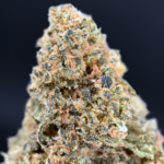 Jack Cake Flash OZ Deal indoor cannabis flower featuring Jack Herer × Wedding Cake genetics available for Washington DC cannabis delivery through Exotic Blooms.